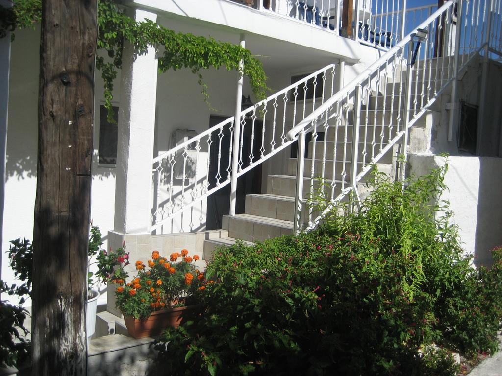 Kamelia Apartment Kokkari Exterior photo